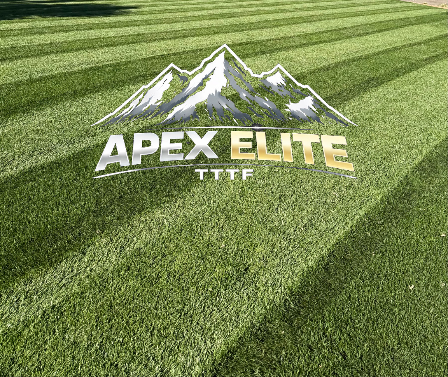Apex Elite TTTF (FREE SHIPPING) – Prime Fescue