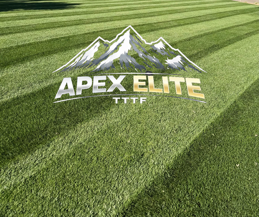 Apex TTTF  (FREE SHIPPING)