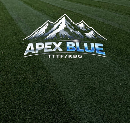 Apex Blue TTTF/KBG  (FREE SHIPPING)
