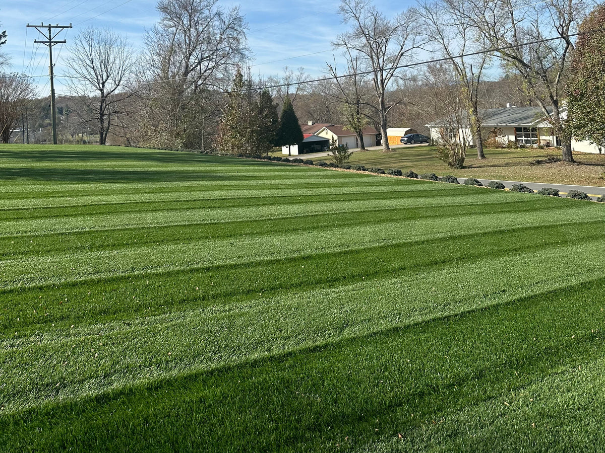 Apex Elite TTTF (FREE SHIPPING) – Prime Fescue