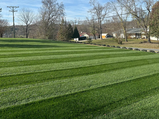 Apex TTTF 25 Pound Bag  (FREE SHIPPING)