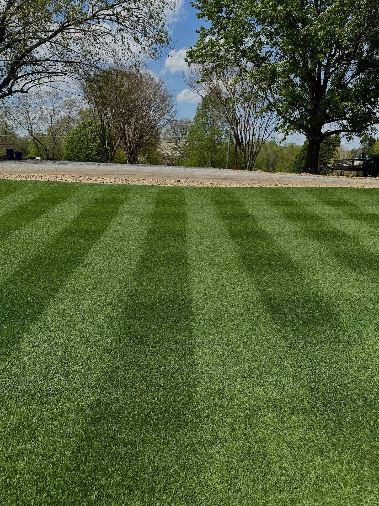 Apex Twilight Kentucky Blue Grass 25 Pound Bag (FREE SHIPPING)