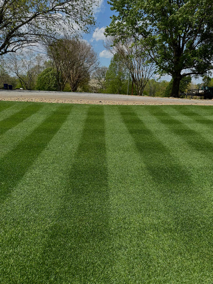 Apex Twilight Kentucky Blue Grass 25 Pound Bag (FREE SHIPPING)