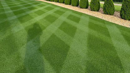 Apex Twilight Kentucky Blue Grass 25 Pound Bag (FREE SHIPPING)